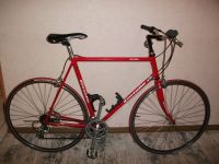 Gazelle Rennrad/Roadbike-28",24Gang,Reynolds 500 Rohr-58cm.RH Köln - Seeberg Vorschau