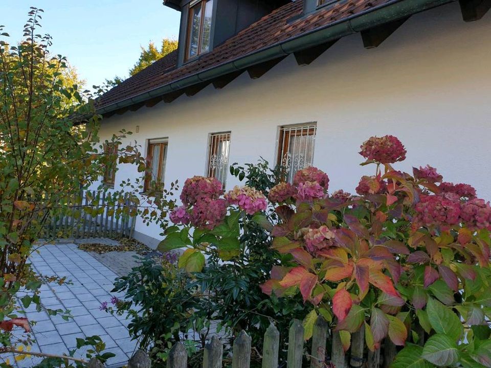 Traumhafte Erdgeschosswohnung mit großem Garten und Keller in Schrobenhausen