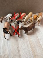 Schleich Pferde (auch einzeln erhältlich) Nordrhein-Westfalen - Westerkappeln Vorschau