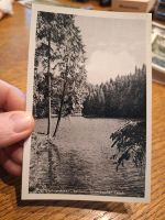 Alte Postkarte AK Hahnenklee Grumbacher Teich Oberharz Niedersachsen - Goslar Vorschau