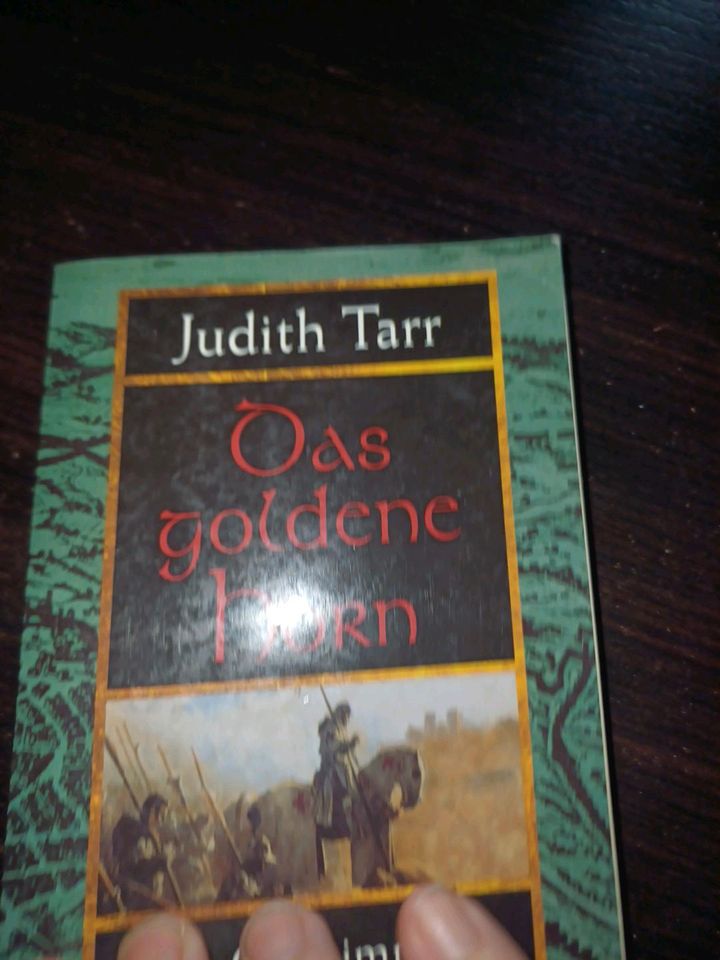 Das goldene Horn Die Geheimnisse von Rhiyana Judith Tarr Taschenb in Leipzig