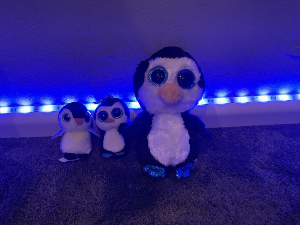 3 Glubschis Pinguin Familie in Köln