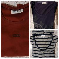 Langarmshirt M und Gr. 40 Brandenburg - Röderland Vorschau