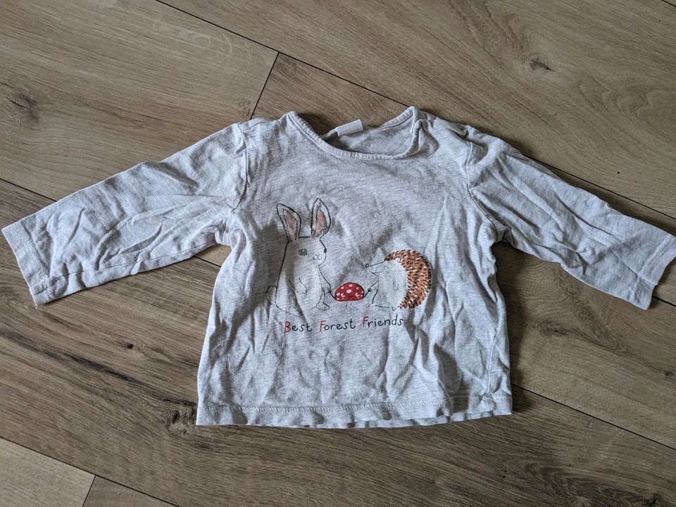 Shirts Langarmshirts dünne Pullover Baby Mädchen H&M 74 in Gerstungen