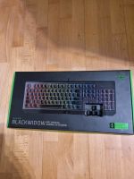 Razer Gaming Tastatur Blackwidow ‼️ Bayern - Ingolstadt Vorschau