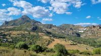 Andalusien, Costa del Sol, Casares - Baugrundstück zu verkaufen München - Altstadt-Lehel Vorschau