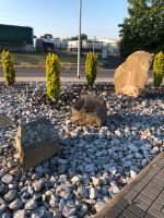 Findlinge Große Steine auch Lieferung möglich! Nordrhein-Westfalen - Mönchengladbach Vorschau