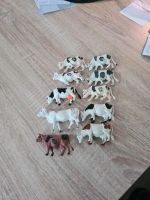 10 Kühe für Bauernhof Komplett 5€ Bielefeld - Quelle Vorschau