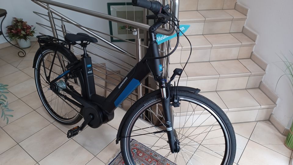 City E-Bike in Erlenbach