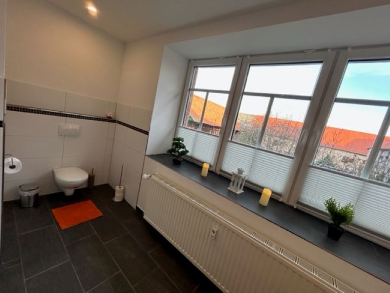 Große Ferienwohnung in Ilsenburg / Harz  Infrarotsauna und Elektrokamin in Ilsenburg (Harz)