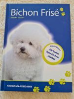 Buch Bichon Frise' Bayern - Güntersleben Vorschau