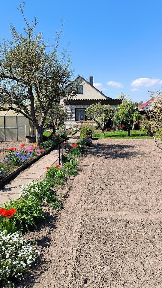 Kleingarten in Eldena (Greifswald) aus Altersgründen abzugeben in Eldena