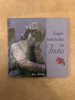 Engelsbotschaften des Trostes Ars Edition Tod Trost Geschenk buch München - Allach-Untermenzing Vorschau