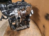 Motor Audi Seat VW 2.0 TFSI DKZ DKZA DKZB 190PS bj2019 Komplett Rheinland-Pfalz - Waldalgesheim Vorschau