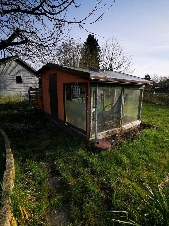 Schrebergarten kleingarten Anlage. in Malente