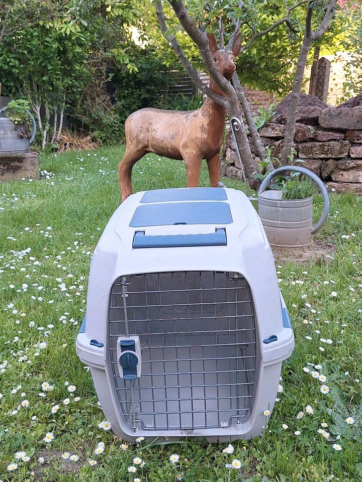 Hundebox Transportbox Clipper 4 in Obernburg