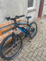 Fischer e-bike Niedersachsen - Jade Vorschau