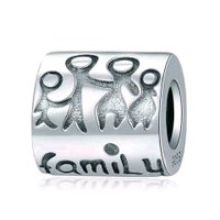 Pandora Anhänger Familie Family 925 Sterling Silber Neu Kreis Pinneberg - Quickborn Vorschau