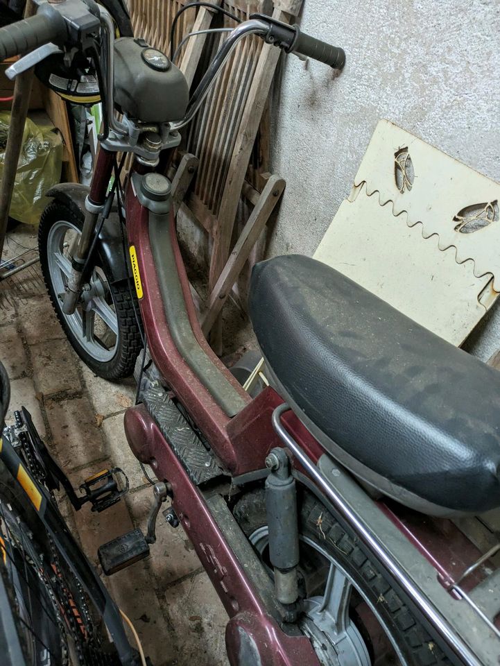 Verkaufe Moped Diaggio in rot in Brackenheim