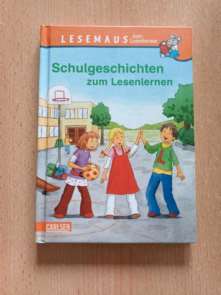 Schulgeschichten zum Lesenlernen in Nienburg (Weser)