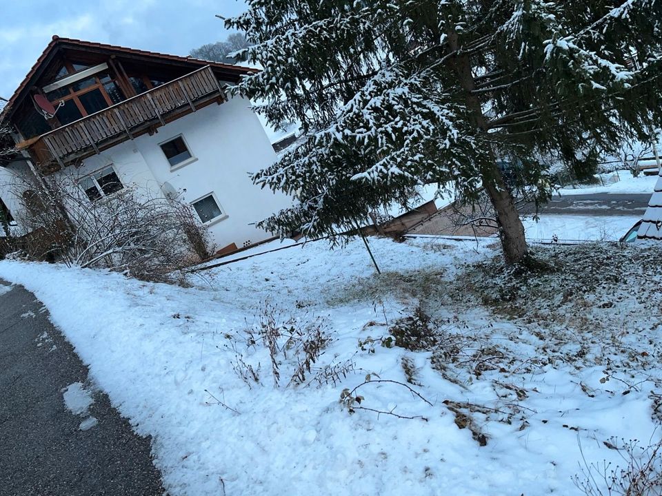 Vermiete Scheune / Lagerfläche / Pferdestall in Oberzent