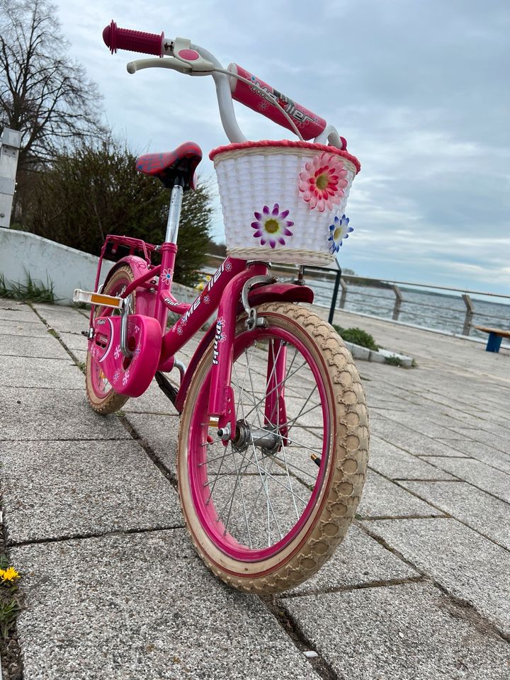 Kinder Fahrrad in Prenzlau