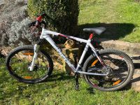 Focus Black Forest Mountainbike Fahrrad Hessen - Freigericht Vorschau