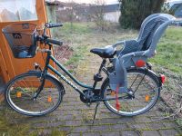26" Pegasus Fahrrad und Kindersitz Rheinland-Pfalz - Irmtraut Vorschau