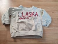 Baby Pullover Alaska Hessen - Erzhausen Vorschau