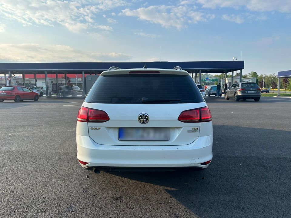 Volkswagen Golf 7 1.6 TDI in Bochum