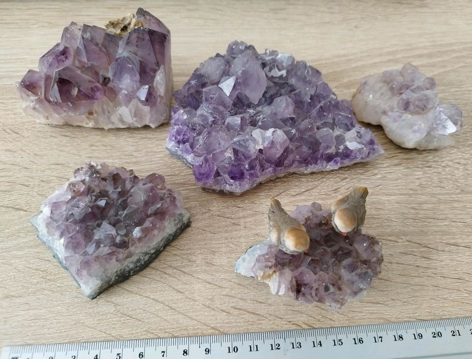 Mineralien Fossilien Konvolut Sammlung Steine in Böttingen