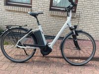 Raleigh CORBY8 28“ 8-Gang Nexux Rücktritt Magura 36V 13AH Top Schleswig-Holstein - Wilster Vorschau