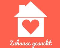 ⭐ 3-4 Zi Wohnung oder Haus gesucht ⭐ Saarland - Püttlingen Vorschau