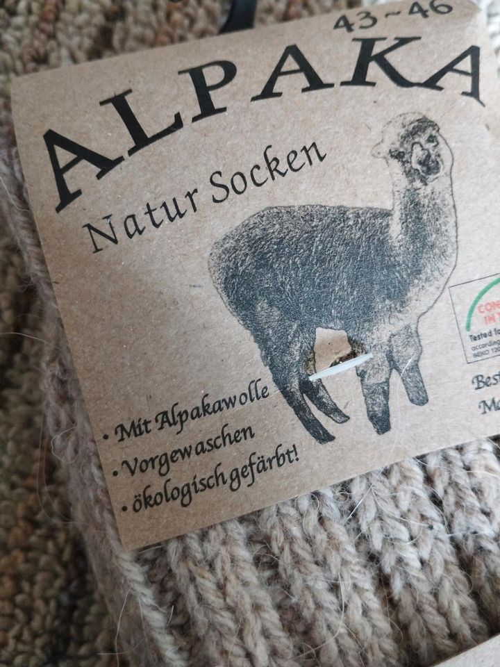 Alpaka Socken in Doberschau