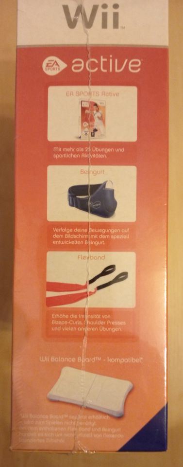 Wii active 2024 personal trainer accessories