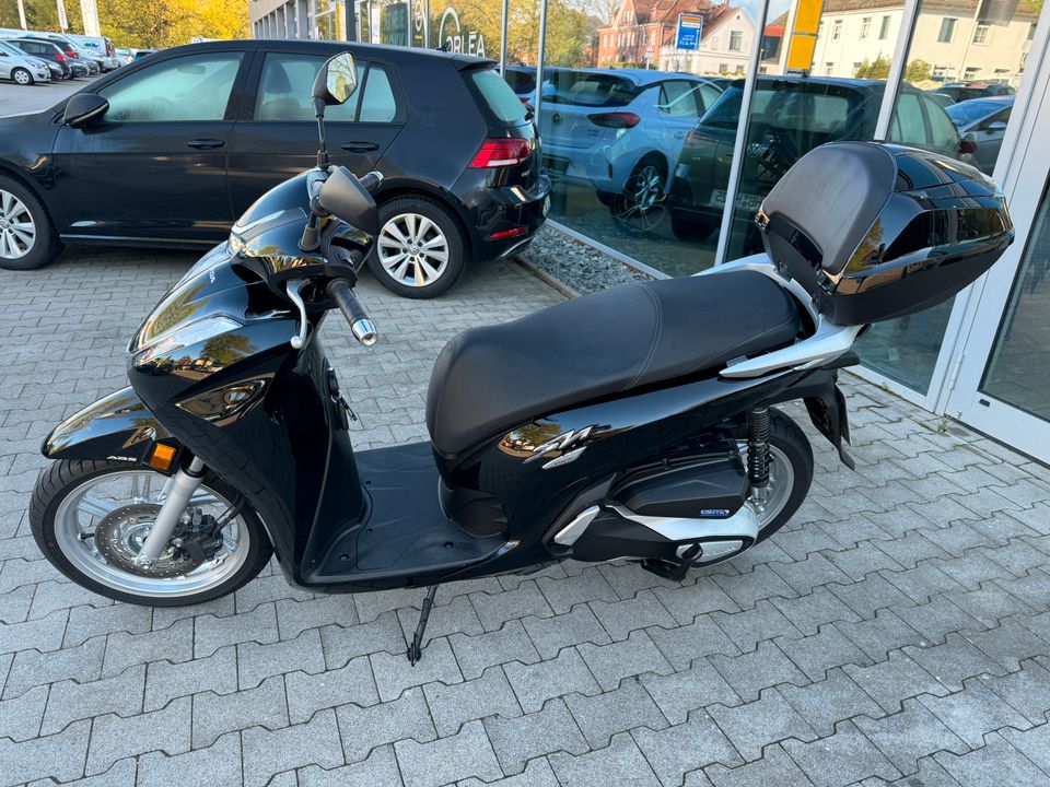 Honda SH350i Scooter Roller in Schwanewede