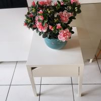 Beistelltisch Blumentisch Vintage Blumenhocker Nordrhein-Westfalen - Krefeld Vorschau