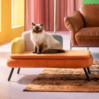 Kare Design Katze/Hundebett  DIVA Orange NEU Friedrichshain-Kreuzberg - Kreuzberg Vorschau