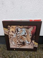 Jordan Bild Gemälde Gepard Afrika 80x80 Hessen - Limburg Vorschau