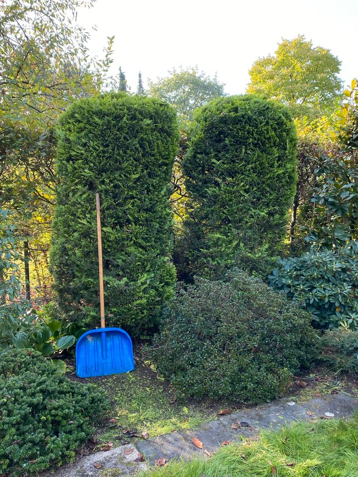 Gartenpflege & Objektpflege, Jahrespflege, Heckenschnitt, Heckenschneiden, Gärtner, Gartenarbeit, Gartenarbeiten, Gartenhelfer, Gartenservice, Hausmeisterdienst, Hausmeisterservice, Objektservice in Solingen