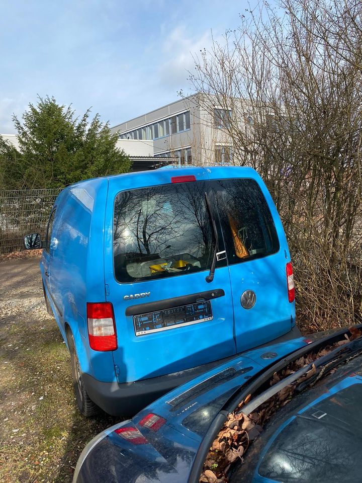 Volkswagen CADDY Kastenwagen in Bielefeld