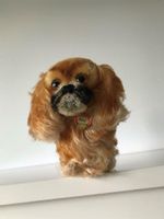 Original Peky-Steifftier (Pekinese), 50ziger Jahre (?) Hessen - Bischoffen Vorschau