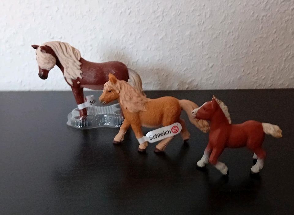 Schleich Pferde in Duisburg