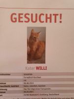 Kater vermisst Schleswig-Holstein - Büdelsdorf Vorschau