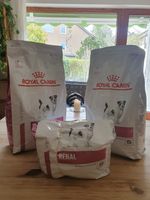 Verkaufe 2 Sack Nieren-Diät Trockenfutter von "Royal Canin" á 3,5 Baden-Württemberg - Tübingen Vorschau