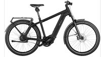 Suche Riese und Müller E-Bike Essen - Essen-Werden Vorschau