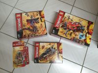 Lego Ninjago 70674 70675 70672 40342 ungeöffnet Rheinland-Pfalz - Mertesdorf Vorschau