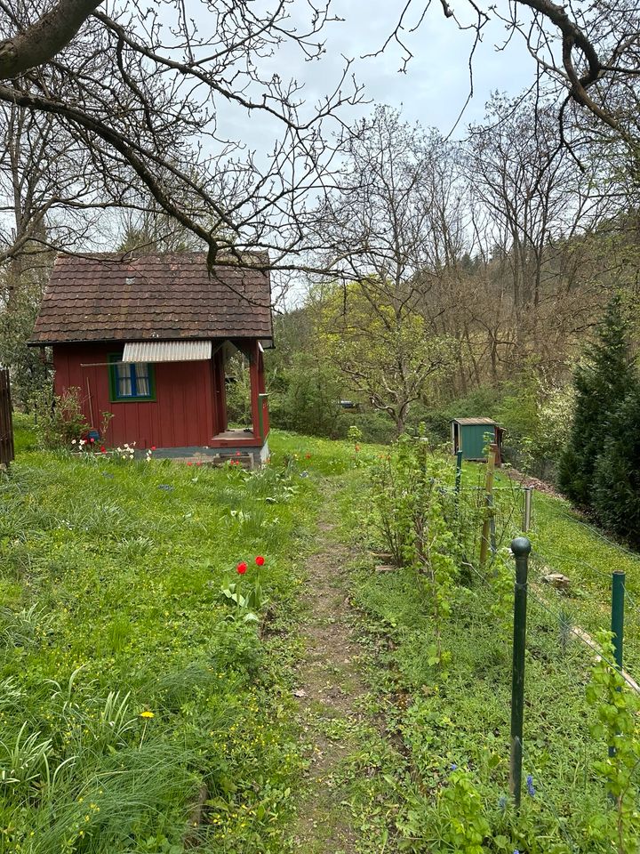 Garten in Birkenfeld in Pforzheim