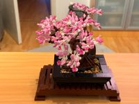 LEGO Set Icons Bonsai Baum 10281 Baden-Württemberg - Blaustein Vorschau