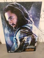 Hot Toys Avengers: Infinity War Bucky Barnes 12" Action Figure (M Nordrhein-Westfalen - Mülheim (Ruhr) Vorschau